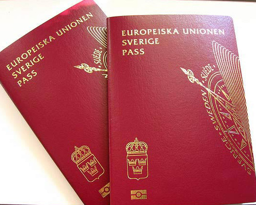 Image result for sweden passport